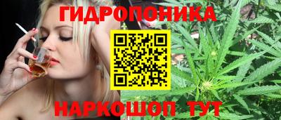 шишки Можга
