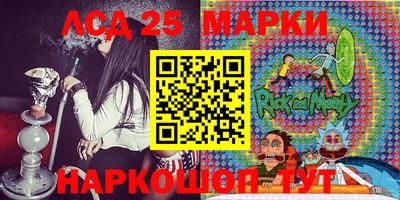 шишки Можга