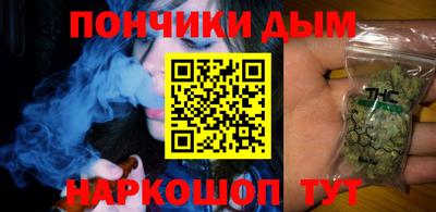 шишки Можга