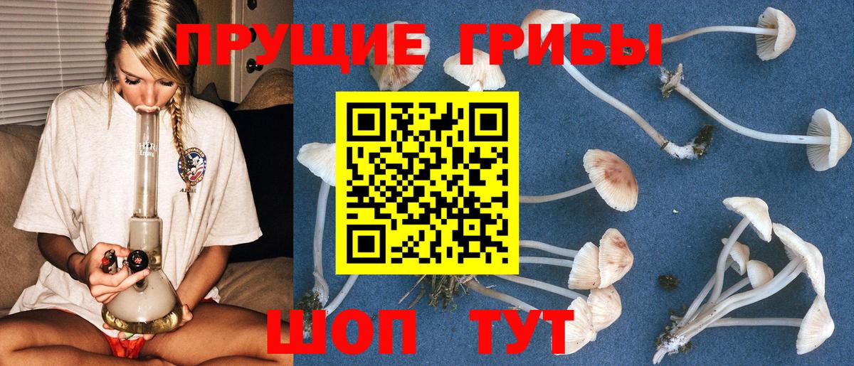 Галлюциногенные грибы ЛСД  Галлюциногенные грибы Psilocybe  Вход с VPN  купить  сайты  Верхняя Пышма 