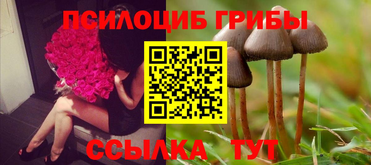 Псилоцибиновые грибы GOLDEN TEACHER Верхняя Пышма